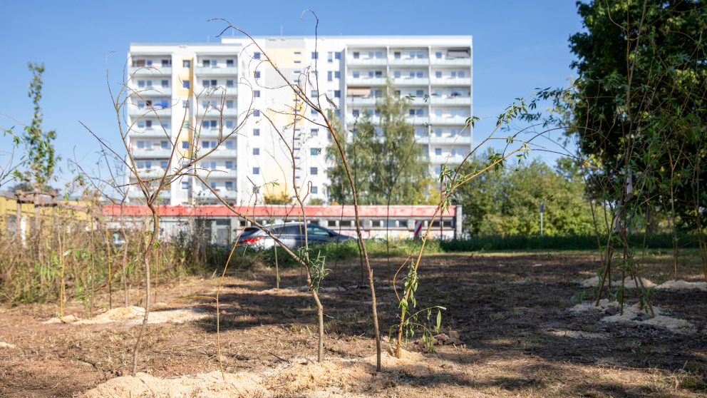 The European Parade of Apple Trees aimed to break down social boundaries by creating places for people to meet.